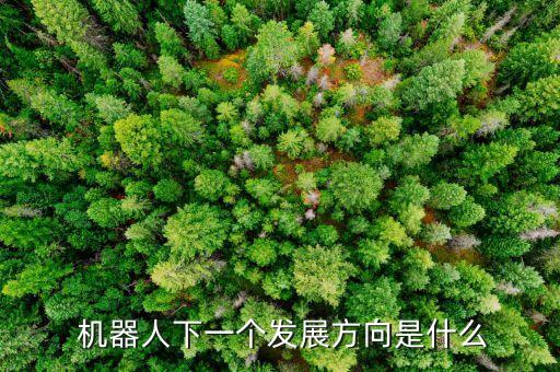  機器人下一個發(fā)展方向是什么