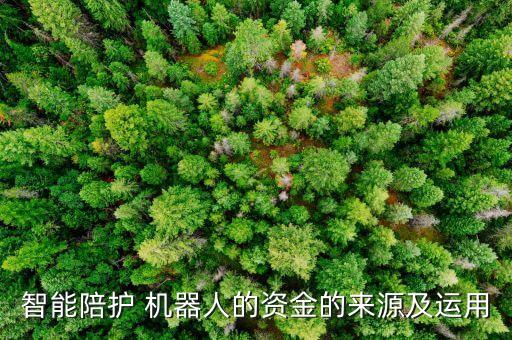 智能陪護(hù) 機(jī)器人的資金的來源及運(yùn)用