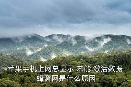 蘋(píng)果手機(jī)上網(wǎng)總顯示 未能 激活數(shù)據(jù) 蜂窩網(wǎng)是什么原因