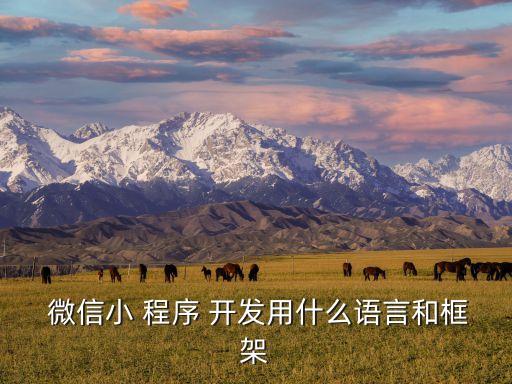  微信小 程序 開發(fā)用什么語言和框架