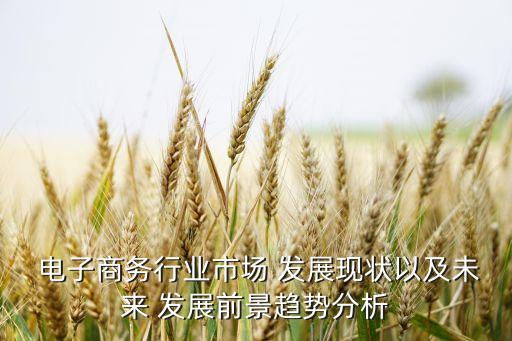 電子商務(wù)行業(yè)市場 發(fā)展現(xiàn)狀以及未來 發(fā)展前景趨勢分析