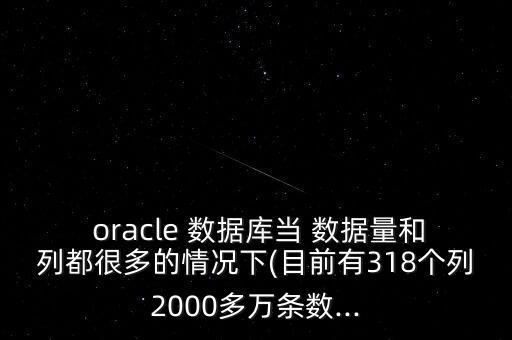  oracle 數(shù)據(jù)庫當(dāng) 數(shù)據(jù)量和列都很多的情況下(目前有318個列2000多萬條數(shù)...
