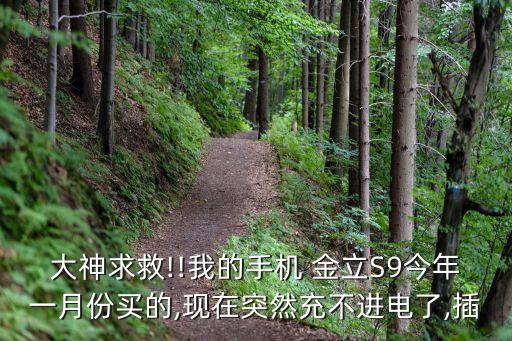 大神求救!!我的手機(jī) 金立S9今年一月份買的,現(xiàn)在突然充不進(jìn)電了,插