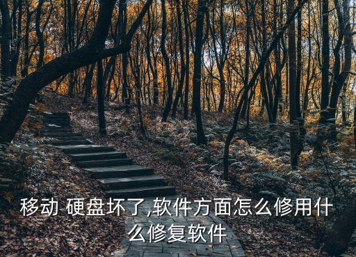 移動(dòng) 硬盤(pán)壞了,軟件方面怎么修用什么修復(fù)軟件