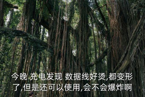 今晚 充電發(fā)現(xiàn) 數(shù)據(jù)線好燙,都變形了,但是還可以使用,會不會爆炸啊
