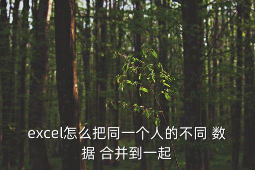 excel怎么把同一個(gè)人的不同 數(shù)據(jù) 合并到一起