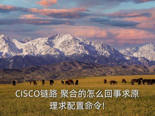 pc端聚合數(shù)據(jù),蘇州聚合數(shù)據(jù)待遇怎么樣