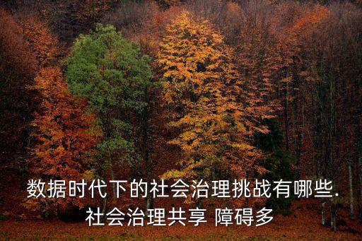  數(shù)據(jù)時代下的社會治理挑戰(zhàn)有哪些.社會治理共享 障礙多