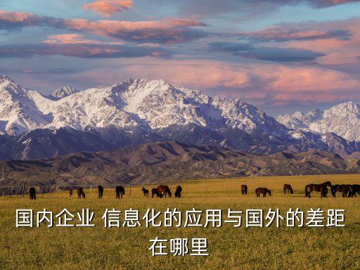 國內(nèi)企業(yè) 信息化的應(yīng)用與國外的差距在哪里