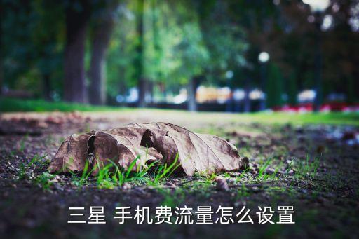  三星 手機(jī)費(fèi)流量怎么設(shè)置