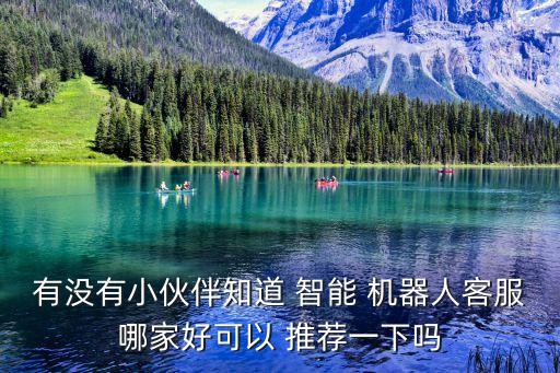 有沒(méi)有小伙伴知道 智能 機(jī)器人客服哪家好可以 推薦一下嗎