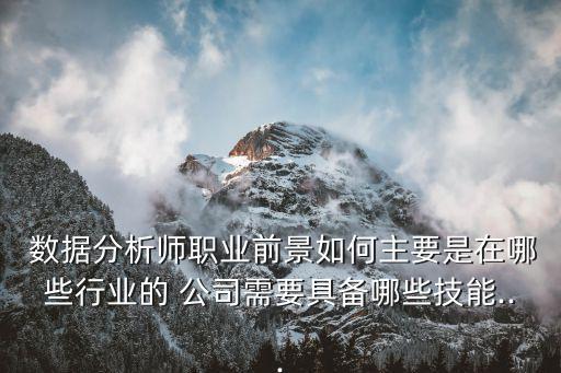  數(shù)據(jù)分析師職業(yè)前景如何主要是在哪些行業(yè)的 公司需要具備哪些技能...