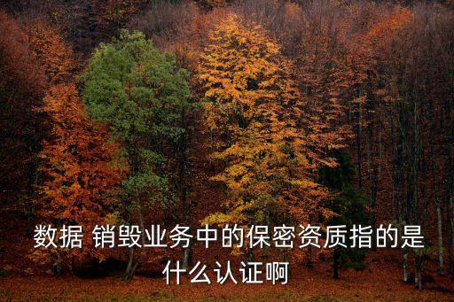 數(shù)據(jù)銷毀
