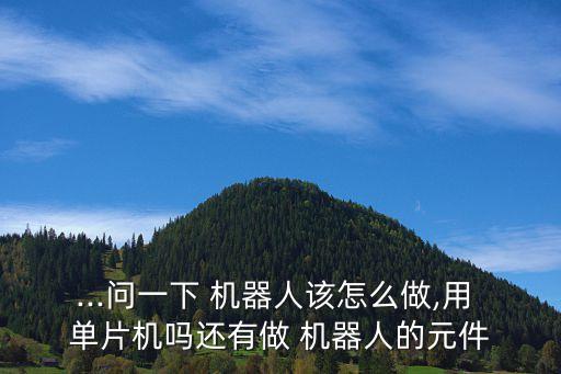 基于單片機的人形機器人的設計與實現(xiàn)