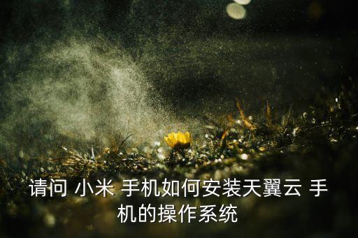 請(qǐng)問 小米 手機(jī)如何安裝天翼云 手機(jī)的操作系統(tǒng)