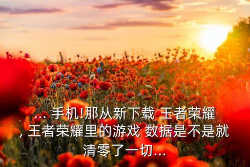手機(jī)上王者數(shù)據(jù)是什么意思,王者的文稿與數(shù)據(jù)是什么
