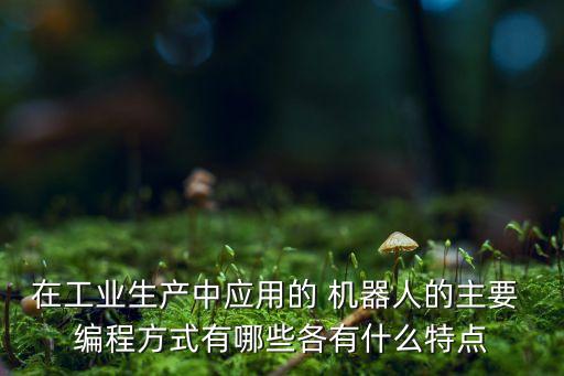 在工業(yè)生產(chǎn)中應(yīng)用的 機(jī)器人的主要 編程方式有哪些各有什么特點(diǎn)