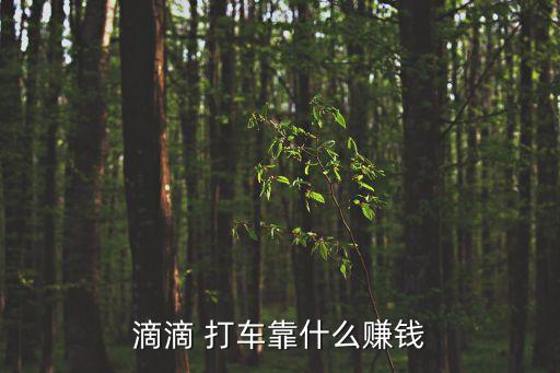 打車軟件 補貼數(shù)據(jù),補貼數(shù)據(jù)軟件中心