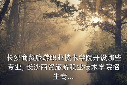  長沙商貿(mào)旅游職業(yè)技術(shù)學(xué)院開設(shè)哪些專業(yè), 長沙商貿(mào)旅游職業(yè)技術(shù)學(xué)院招生專...