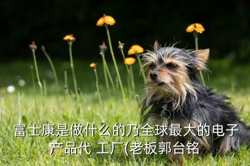 富士康機(jī)器人工廠視頻,工業(yè)機(jī)器人工廠作業(yè)視頻
