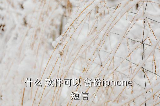 什么 軟件可以 備份iphone 短信