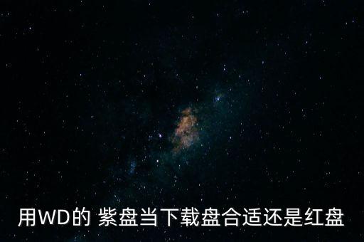 用WD的 紫盤(pán)當(dāng)下載盤(pán)合適還是紅盤(pán)