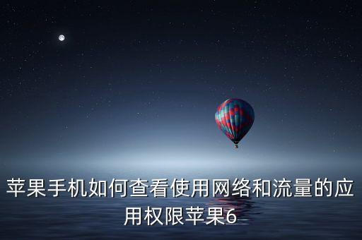 蘋果手機如何查看使用網(wǎng)絡(luò)和流量的應用權(quán)限蘋果6