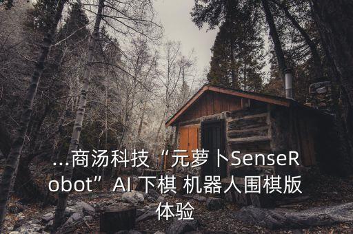 下棋機器人的功能,商湯發(fā)布AI下棋機器人