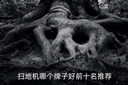  掃地機(jī)哪個(gè)牌子好前十名推薦