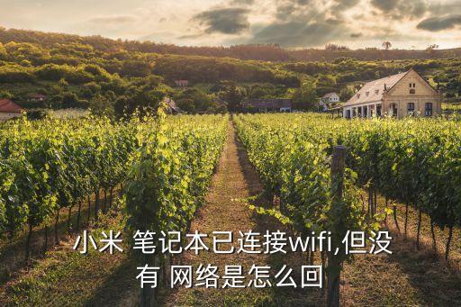  小米 筆記本已連接wifi,但沒有 網(wǎng)絡(luò)是怎么回