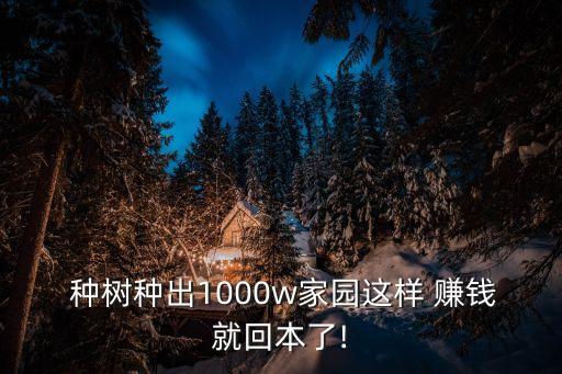 種樹機(jī)器人賺錢,種樹賺錢app下載