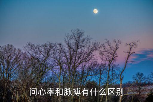 問心率和脈搏有什么區(qū)別