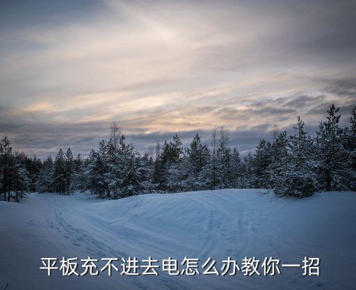 6s數(shù)據(jù)線充平板不行,蘋(píng)果6s的數(shù)據(jù)線可以充13嗎
