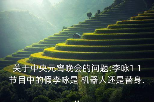 關(guān)于中央元宵晚會的問題:李詠1 1節(jié)目中的假李詠是 機(jī)器人還是替身...