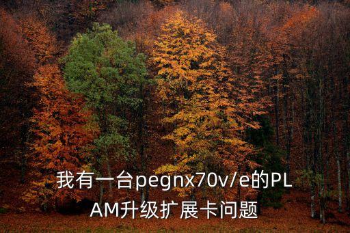 我有一臺(tái)pegnx70v/e的PLAM升級(jí)擴(kuò)展卡問(wèn)題