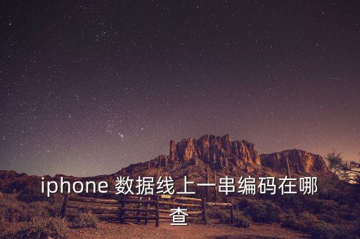 iphone 數(shù)據(jù)線上一串編碼在哪查