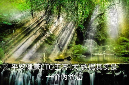 平安健康CTO王齊:大 數(shù)據(jù)其實(shí)是一個(gè)偽命題