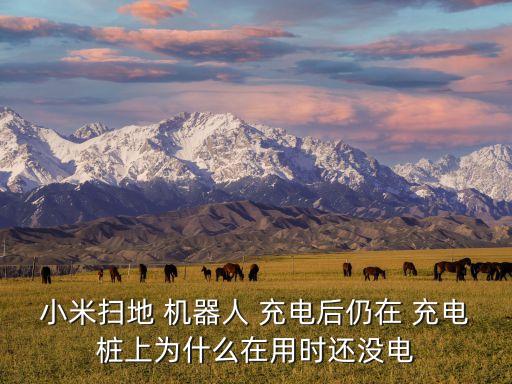 小米掃地 機器人 充電后仍在 充電樁上為什么在用時還沒電
