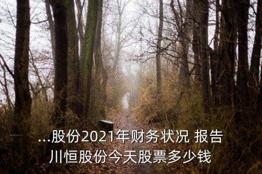 ...股份2021年財(cái)務(wù)狀況 報(bào)告川恒股份今天股票多少錢
