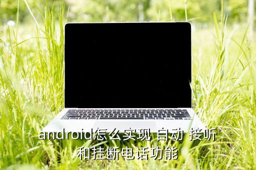 auto answer自動接聽