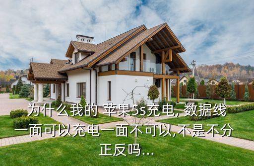 蘋果數(shù)據(jù)線頭有正反嗎