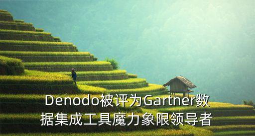 Denodo被評(píng)為Gartner數(shù)據(jù)集成工具魔力象限領(lǐng)導(dǎo)者