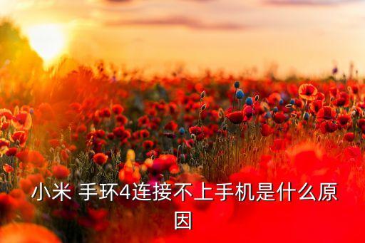 小米手環(huán)更新不了數(shù)據(jù)線