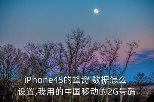 iPhone4S的蜂窩 數(shù)據(jù)怎么 設(shè)置,我用的中國移動的2G號碼
