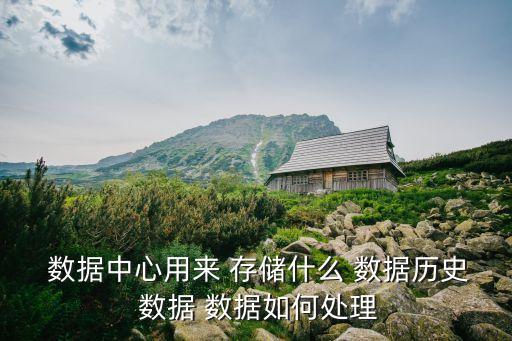  數(shù)據(jù)中心用來 存儲什么 數(shù)據(jù)歷史 數(shù)據(jù) 數(shù)據(jù)如何處理
