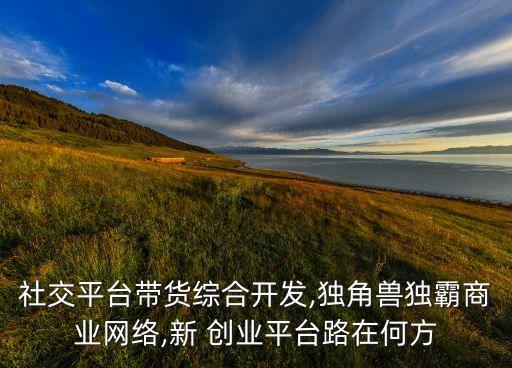 社交平臺帶貨綜合開發(fā),獨角獸獨霸商業(yè)網(wǎng)絡(luò),新 創(chuàng)業(yè)平臺路在何方