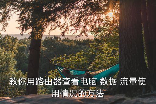 教你用路由器查看電腦 數(shù)據(jù) 流量使用情況的方法