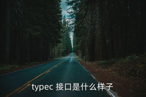 typec 接口是什么樣子