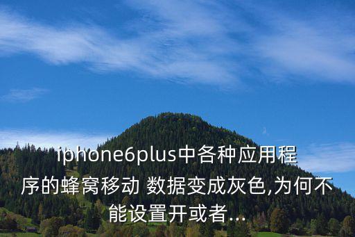iphone6plus中各種應(yīng)用程序的蜂窩移動 數(shù)據(jù)變成灰色,為何不能設(shè)置開或者...