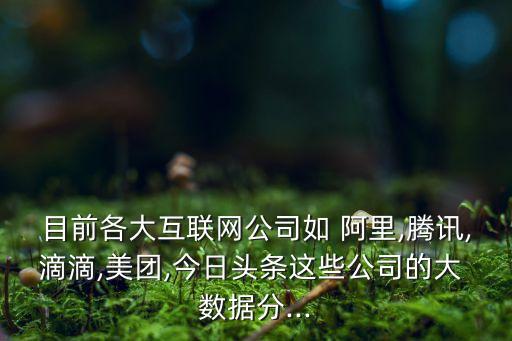 目前各大互聯(lián)網(wǎng)公司如 阿里,騰訊,滴滴,美團,今日頭條這些公司的大 數(shù)據(jù)分...